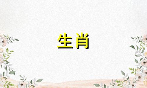 如何改变2021年的绵羊出货量