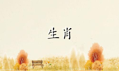 属猴是金还是水?属猴在1992年的生活是怎样的?