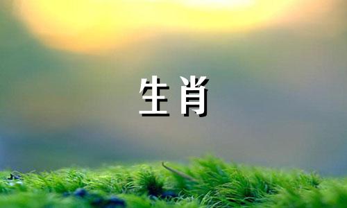 妈妈是一头牛，你能有一头牛宝宝吗?