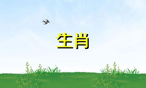 如果你是2022年的属鼠人,你应该注意些什么呢?