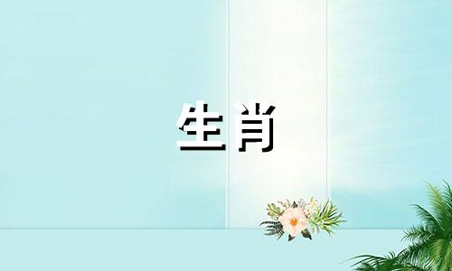 牛年你的年轮谈论牛毛圈谈论