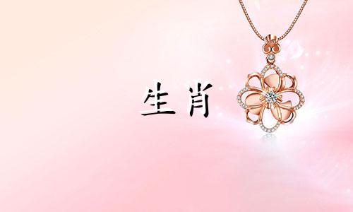 48岁的属鼠人73岁如何打破健康罐头?