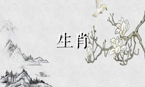 2022年属鼠的命运是什么?