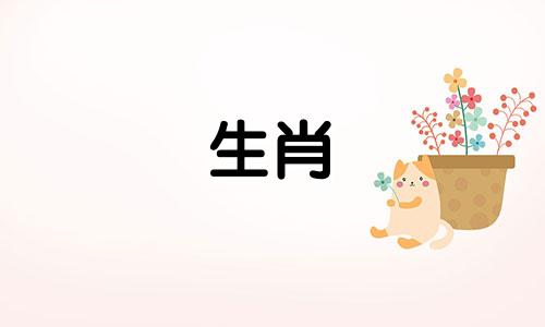 雄鼠在这一年应该戴什么吉祥物来消灾?