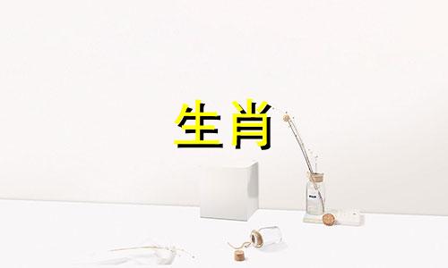 鼠年忌什么动物如何破案