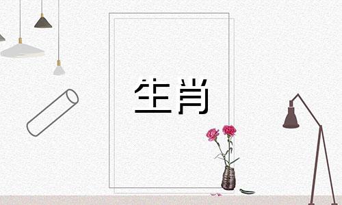 属龙和猪怎么配成一对