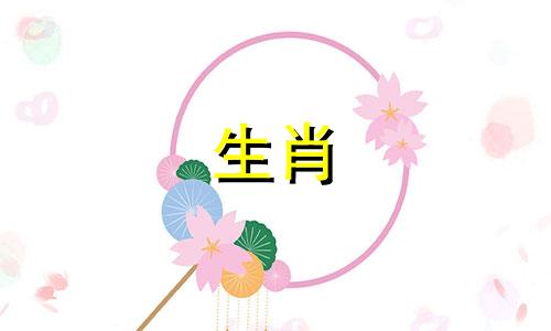 属龙和蛇是上等的婚姻吗?