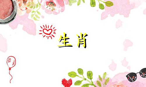 男人适合做蛇,女人适合做狗吗?你的婚姻运势如何?