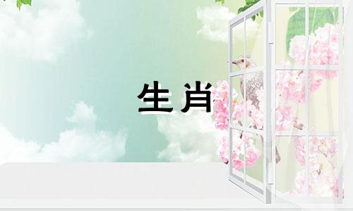 猪和猪是相容的吗?哪一年最适合结婚?