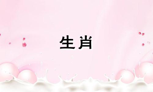 为什么属虎喜欢猪在一起?