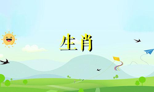 如果属龙蛇相容,属龙蛇合作好吗?