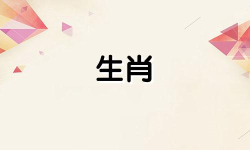 88年属龙女和85年牛男比赛?