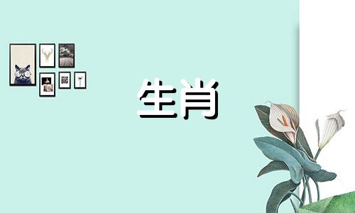 男人和属猴、女人和兔子适合夫妻吗?在一起不容易,是真的吗?