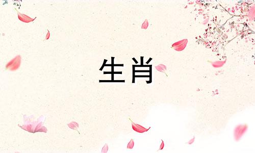 1995年猪和属虎的最佳伴侣?