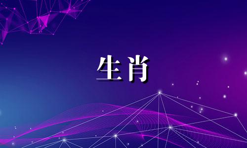 男蛇女属龙的婚姻在一起好不好?