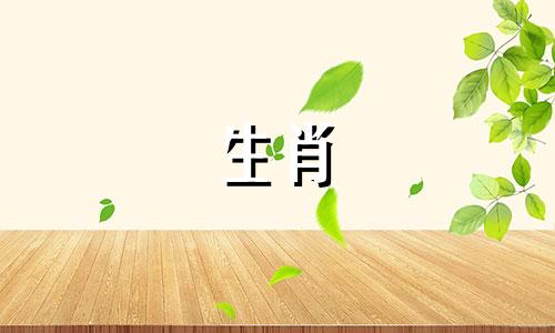 你为什么说你不能嫁给一只公鸡?