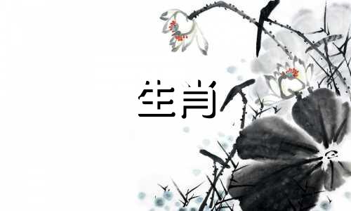 蛇和狗会碰撞吗?男蛇女狗婚姻运