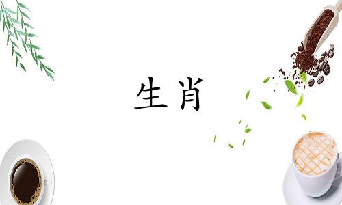 1998年虎婚比赛1998年虎婚年龄