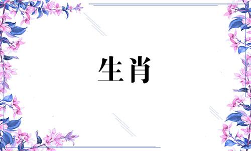 你为什么说猪和狗不能没有结局地结婚?
