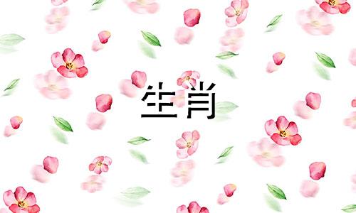 两条蛇在一起对吗?婚姻不相容吗?