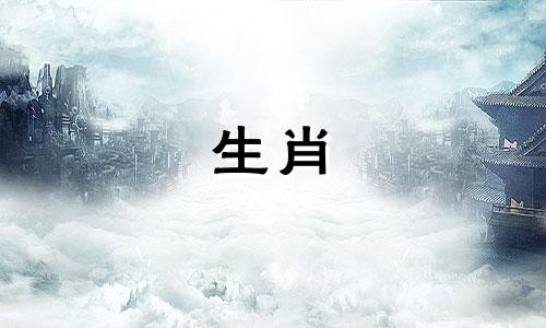 鸡和属鼠适合在一起吗?