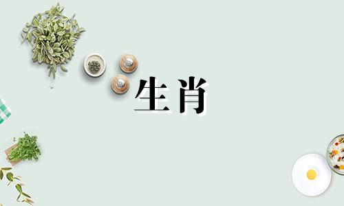 马和猪能赚钱吗?它们能一起做生意吗