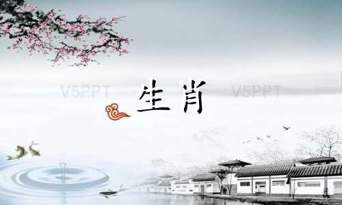 为什么蛇和蛇不能结婚,什么属相最合适