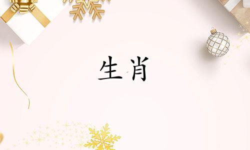 虎与虎的夫妻最后还是虎与虎在一起?