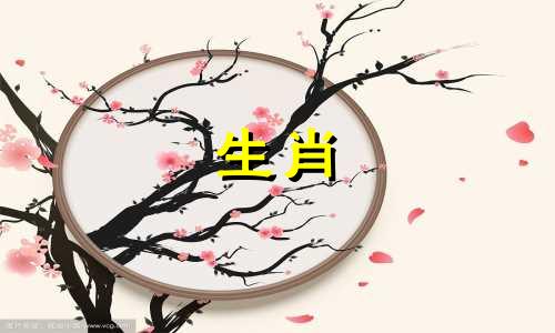 男属龙女蛇夫妇星象属龙男蛇女婚配