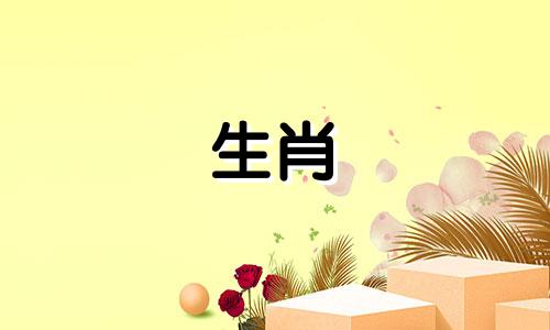 80猴女和83公猪的婚姻怎么样?结婚后能发财吗?