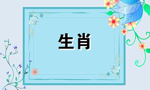 都是羊吗?夫妻的命运是怎样的?