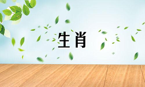 属猴不会结束为什么男孩和女孩不会结束?