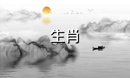 蛇女和兔子是注定要离婚的吗?那婚姻呢?