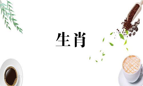 88年的雌属龙和92年的雄猴,属牛宝宝呢