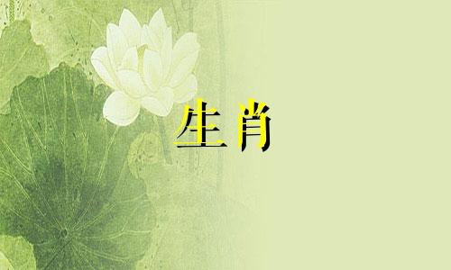 生肖马与生肖马夫妻将穷而富