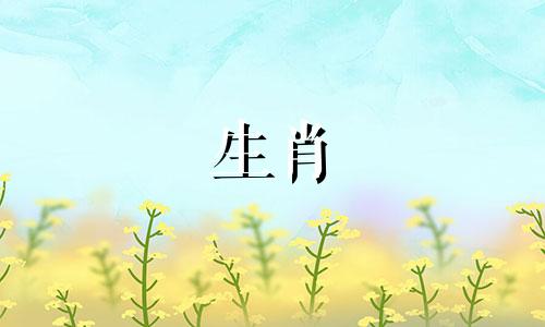 这对夫妇是属兔的，好吗?