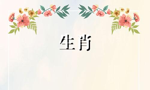 马与马的婚姻能持久吗?两匹马的婚姻怎么样?