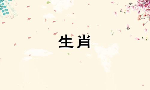 女兔男属龙婚配是女兔男属龙是好婚配