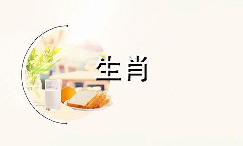 狗羊般配怎么结婚真的不能在一起