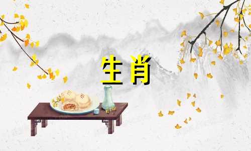 男属龙女狗婚姻结局是离婚可以过一辈子