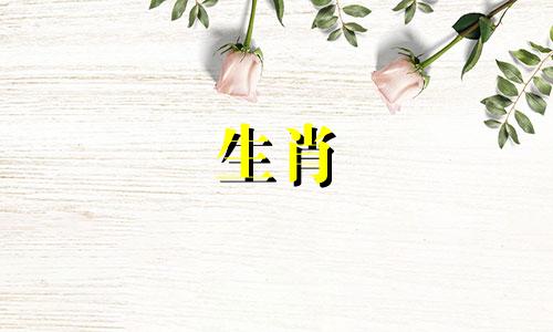 公猴母牛能活一辈子吗?婚姻会幸福吗