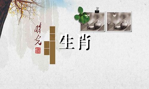 2021年星座运势详细分析