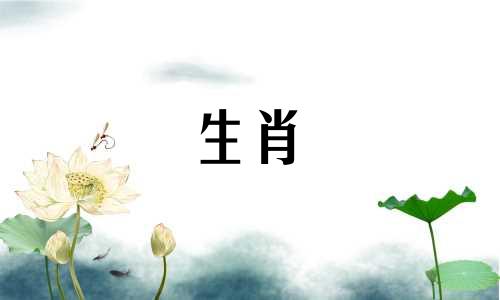 1982狗的婚姻和命运82狗的婚姻一辈子