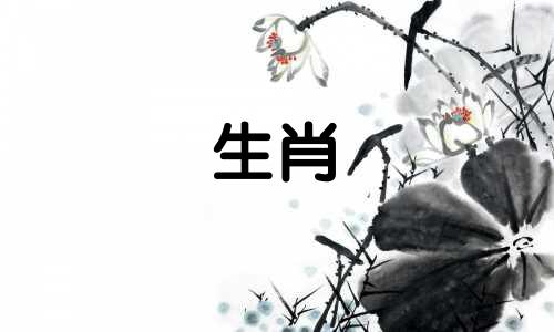 88公属龙94母狗?88男属龙94女狗婚姻好