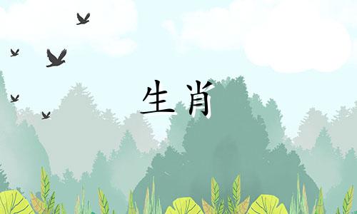 鸡兔之后出生真的很倒霉吗?谁对鸡和兔子不好?