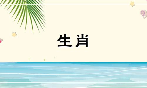 87年属兔2022财运与距离