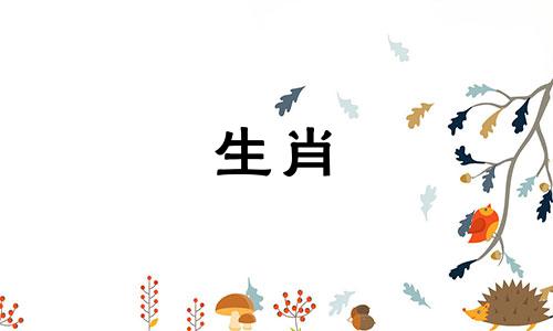 1984这只属鼠是哪一年运来的