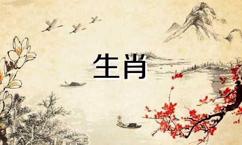 虎1986婚姻状况详细分析