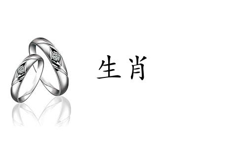 87年的兔子十年怎么样?