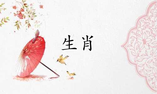 87兔十年是哪一年开始的?